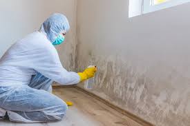 Why You Should Choose Our Mold Remediation Services in Hibbing, MN